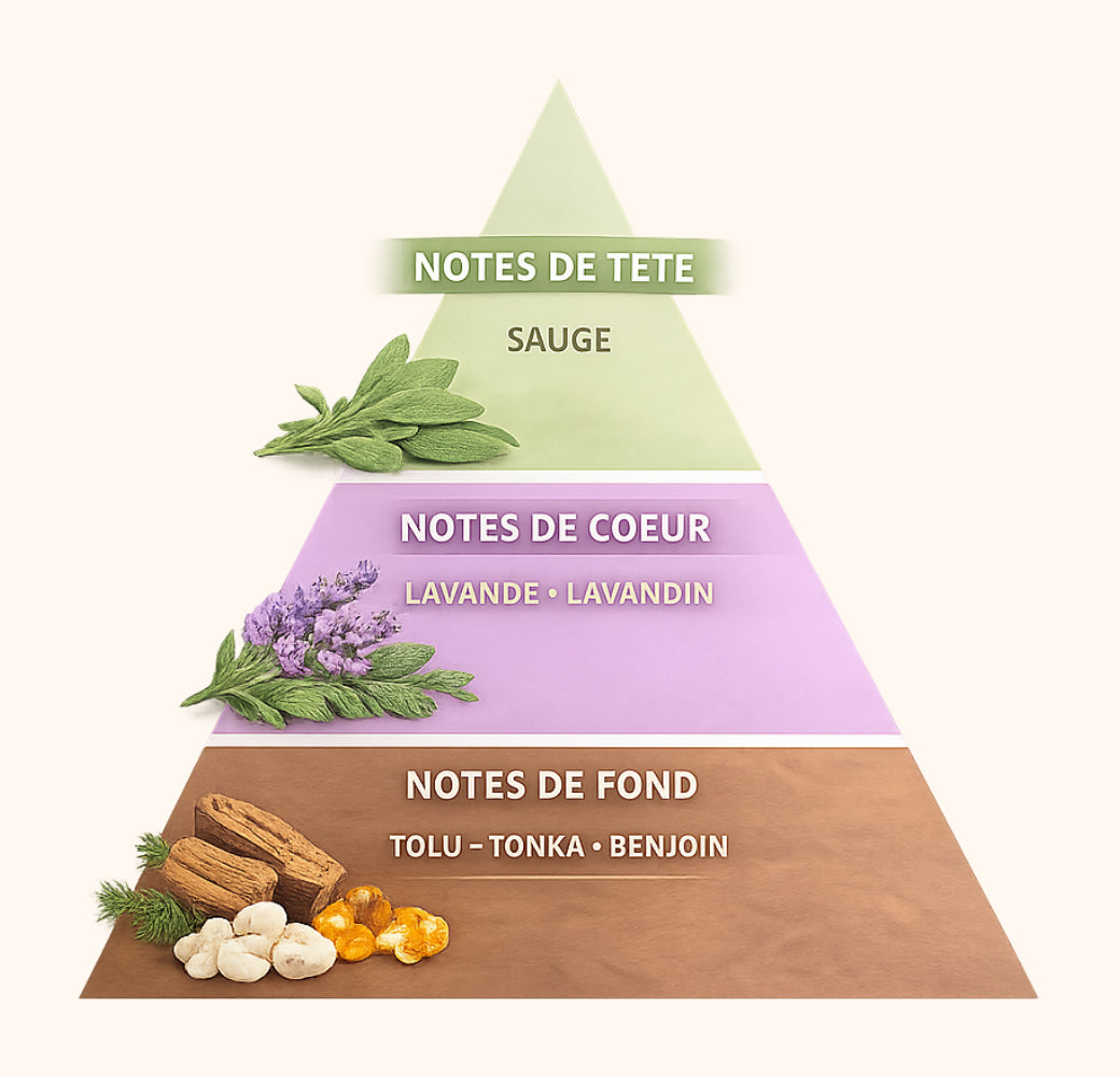 Fragrance lavande